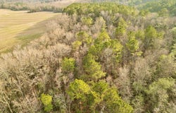 2 County Road 3324, BRUNDIDGE, AL 36010