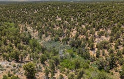 Akati Gulch, Hesperus, CO 81326