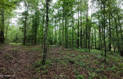 6936 Hillsboro-ludlow Road, Forest, MS 39074