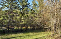 159 Kreiger Drive, Skandia, MI 49885