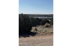 58 Short Lane, Concho, AZ 85924