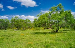 509 Sandy Lane Rd, Mason, TX 76856