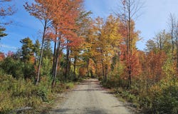 106 Ridgecrest Road, Bradley, ME 04411