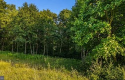 FORK RUN Trail lot: 168, MC HENRY, MD 21541