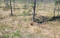 ON CTH G, Eagle River, WI 54521