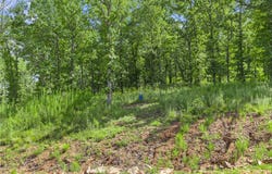 Restore Ridge lot: 22, Harrison, AR 72601