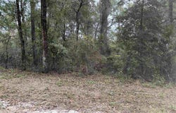 133 Rochelise Road, Crawfordville, FL 32327