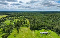 SE 1151 Road, Collins, MO 64738