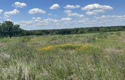 County Road 333, Blanket, TX 76432