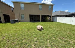12109 ECHO BASIN Cove, RIVERVIEW, FL 33579