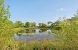 14512 Graef Rd, Creedmoor, TX 78610