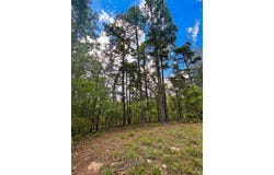 1054 Carter Mountain Trail, Broken Bow, OK 74728