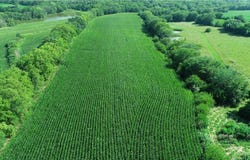 9226 427 Road, Savannah, MO 64485