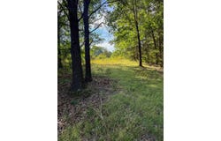 Co Rd 539, Ava, MO 65629