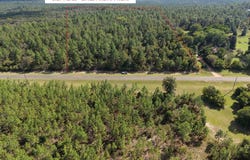 0 (6.17 Acres) Pineknot Road, Box Springs, GA 31801