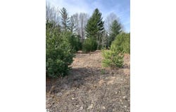 312 Blue Heron Drive, Kalkaska, MI 49646