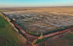 TX-86, Turkey, TX 79261