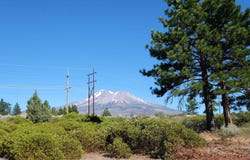 Black Bear Rd. lot: 84 Unit 7-2, Weed, CA 96094