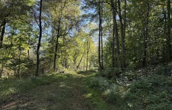 Theo Proffitt Road, Manchester, KY 40962