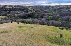 Rural Boyd County, Gross, NE 49686