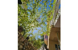 35578 Ca-190, Springville, CA 93265