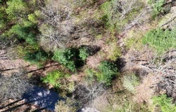 Ivy Ridge Rd, Bent Mountain, VA 24059