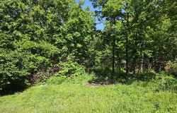 11 Private Road Aa-84, Alton, MO 65606