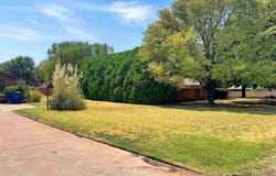 3181 Douglas Ave, Alva, OK 73717