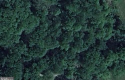 4420 BREIDENBAUGH Lane, GLEN ARM, MD 21057