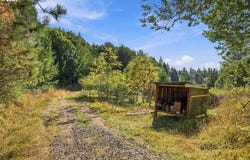 95220 SITKUM Ln, MyrtlePoint, OR 97458