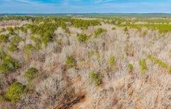 BRUSHY CEMETERY Road, Amity, AR 71921