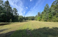 170th Street, Akeley, MN 56433