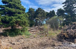 20 St SW, Bandon, OR 97411
