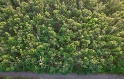 46 Dunson Lane, Elmira, MI 49730