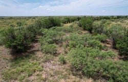 1550 E County Road, Mangum, OK 73554