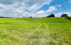 00 Crocus Rd, Glens Fork, KY 42741