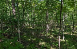 Cherryville Rd, Ashland, WI 54806