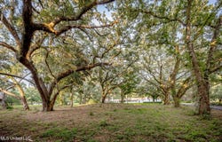 Pointe Aux Chenes lot: 3, Ocean Springs, MS 39564