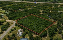 Deerwood Trail, Dublin, GA 31021