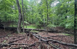 Red Wing Road, Brandenburg, KY 40108