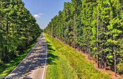 Parcel 4 Menge Avenue, Pass Christian, MS 39571