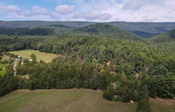 ALUM SPRINGS RD, BASYE, VA 22810