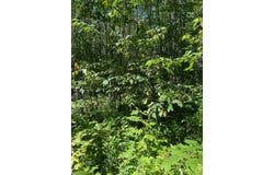 W HERZOG Road, IRON MOUNTAIN, MI 49801