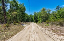 125 STREET, BRONSON, FL 32621