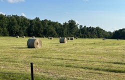 4420 State Route Dd, Willow Springs, MO 65793
