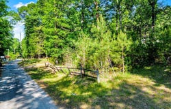 WONDER Ln, Parrish, AL 35580