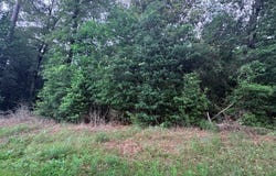 Perdilot Drive lot: 19&20, Woodville, TX 75979