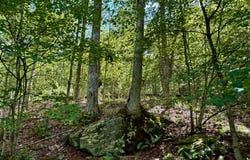 Kerness Rd, Wawarsing, NY 12428