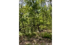 DOLL CONWAY Rd, Clifton, TN 38425