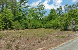 Greemore Road, Meredith, NH 03253